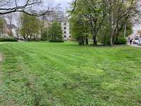 Hundeauslaufgebiet-Weinligstraße-Bild