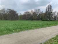 Hundeauslaufgebiet-Palmengarten-Bild