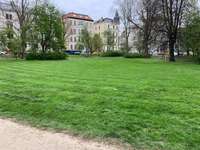 Hundeauslaufgebiet-Weinligstraße-Bild