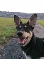 Suchmeldung-Milow-Bild