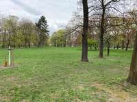 Hundeauslaufgebiet-Wilhelm-Külz-Park-Bild