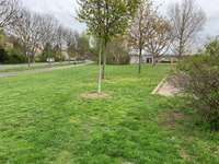 Hundeauslaufgebiet-Probstheidaer Straße-Bild