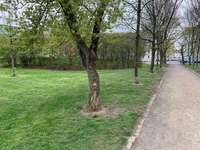 Hundeauslaufgebiet-Slevogtstraße-Bild