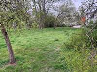 Hundeauslaufgebiet-Slevogtstraße-Bild