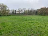 Hundeauslaufgebiet-Mariannenpark-Bild