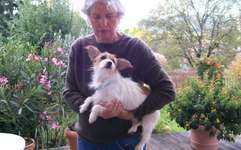 Suchmeldung-Heidi-Bild