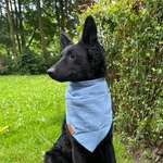 Ersteller:in Hannah Profilbild