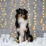 Ersteller:in Nadine Profilbild