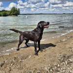 Ersteller:in Manuela Profilbild