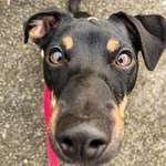 Ersteller:in Michelle Profilbild