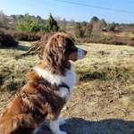 Ersteller:in Bernd Profilbild