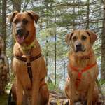 Ersteller:in Jessica Profilbild