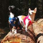 Ersteller:in Conny Profilbild