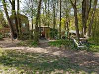 Hundeauslaufgebiet-Englischer-Garten Nord-Bild