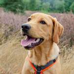 Ersteller:in OhneNamen Profilbild