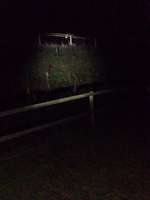 Hundeauslaufgebiet-Ketsch-Bild