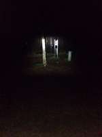 Hundeauslaufgebiet-Ketsch-Bild