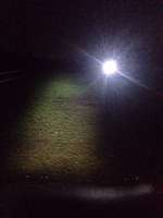 Hundeauslaufgebiet-Ketsch-Bild