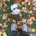 Ersteller:in Da-Hien Profilbild