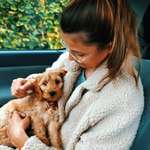 Ersteller:in Marie Profilbild