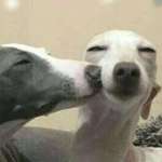 Ersteller:in Birgit Profilbild