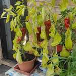 Ersteller:in Jasmin Profilbild