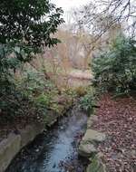 Hundeauslaufgebiet-Volkspark Schwelgern-Bild