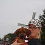 Ersteller:in Nicole Profilbild