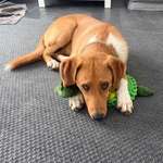 Ersteller:in Jessica Profilbild