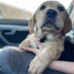 Ersteller:in Tina Profilbild