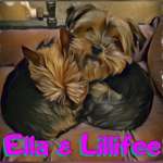 Ersteller:in Simone Profilbild