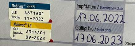 Impfung Zeitplan Grundimmunisierung-Beitrag-Bild