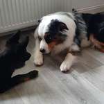 Ersteller:in Melanie Profilbild