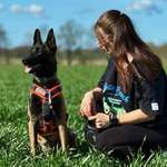 Ersteller:in Tamara Profilbild