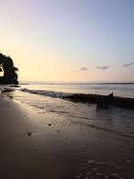 Hundeauslaufgebiet-Hundestrand Krautsand-Bild
