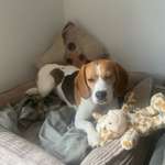 Ersteller:in Daniela Profilbild