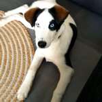 Ersteller:in Sandra Profilbild