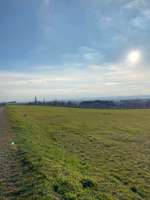 Hundeauslaufgebiet-Hellerblick-Bild