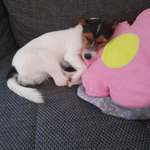 Ersteller:in Marie Profilbild