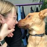 Ersteller:in Melanie Profilbild