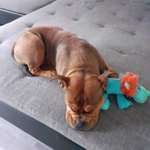 Ersteller:in Corena Profilbild