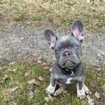 Ersteller:in Nicole Profilbild