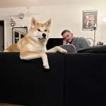 Ersteller:in Calvin Profilbild