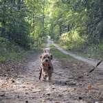 Ersteller:in Marie Profilbild