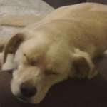 Ersteller:in Tanja Profilbild