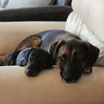 Ersteller:in Paulina Profilbild