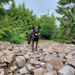 Ersteller:in Esther Profilbild