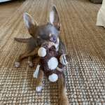 Ersteller:in Bea Profilbild