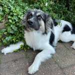 Ersteller:in Jasmin Profilbild