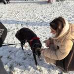 Ersteller:in Michelle Profilbild